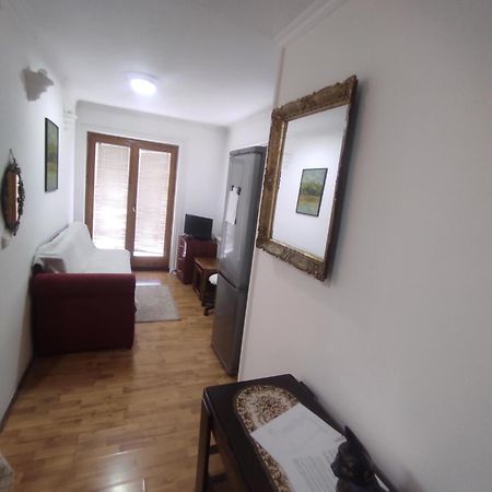 Apartment Mixa Belgrad Zewnętrze zdjęcie