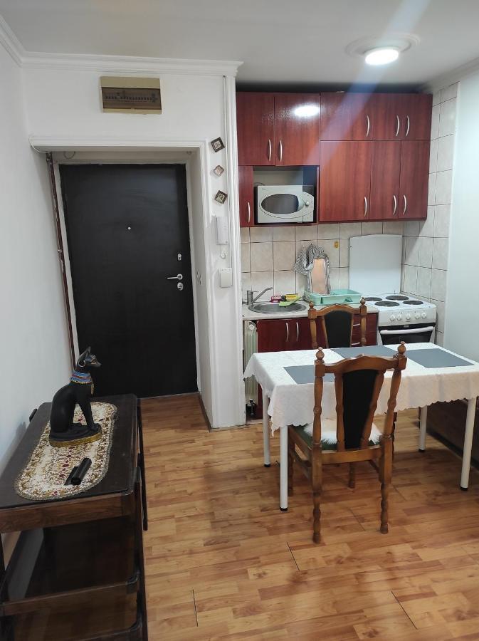 Apartment Mixa Belgrad Zewnętrze zdjęcie